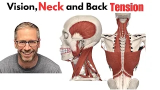 How Your Vision Influences Your Posture and Movement: What No One Talks About.