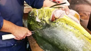 Japanese Street Food - GIANT MAHI MAHI FISH Japan Seafood