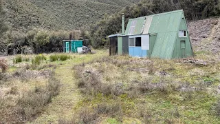 Sika Deer Roar | Part 1 | Hunting New Zealand.