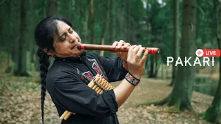 Pakari - Heartfelt Andean flute music