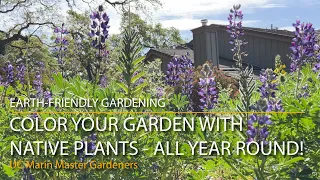 Color Your Garden With CA Native Plants - All Year Round!