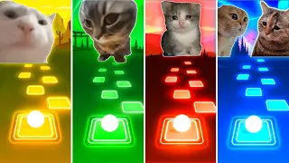 Vibing Cat vs Chipi Chipi Chapa Chapa Cat vs Sad Cat vs Talking Cats -Tiles Hop EDM Rush