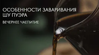 Заварим Шу Пуэр Так, Что Понравится Каждому | Art of Tea