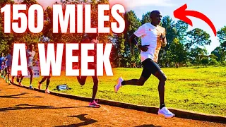 Eliud Kipchoge INSANE Training For Berlin Marathon 2023