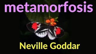 🌺LA NUEVA MEDITACION Neville Goddard  SOY MANIFESTACION / PRACTICA IMAGINATIVA💛