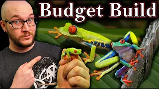 How To Make A Red Eyed Tree Frog Custom Enclosure Build On Any Budget 2022