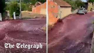 Two million litres of red wine flood streets of Portuguese village