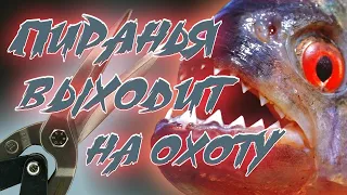 Ножницы по металлу GROSS PIRANHA 78329. Мой обзор.