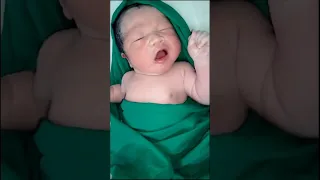 Cutest Angel Baby Most Gorgeous😍😍 #shorts #viral #cute #love #youtube #trending #baby