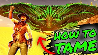 How to TAME An OASISAUR!!! How To EASILY and QUICKLY TAME ANY OASISAUR in Ark Survival Ascended!!