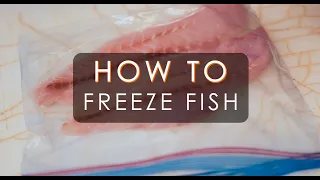 How To Freeze Fish at Home | A Fishmonger's Guide