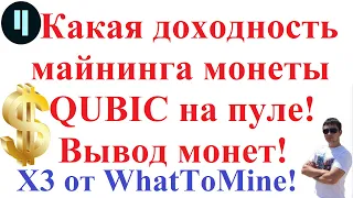 Какая доходность майнинга монеты QUBIC на пуле! Вывод монет с пула!