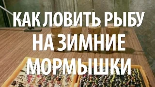 ЛОВЛЯ на МОРМЫШКУ ЗИМОЙ ОКУНЯ, ЯЗЯ, ПЛОТВЫ. РЫБАЛКА ЗИМОЙ на МОРМЫШКУ в ТАМБОВСКОЙ ОБЛАСТИ