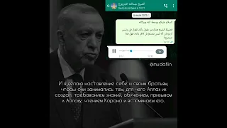 Шейх Абдуллах аль-Джарбу о Эрдогане