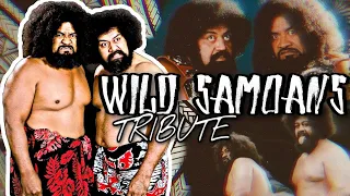 The Wild Samoans 🇼🇸🇦🇸