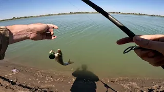 Рыбалка на реке Сырдарья. В поисках рыбацкого счастья.