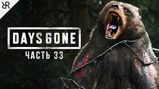 Прохождение Days Gone | Жизнь После | Часть 33: Заварушка в лагере Коупленда