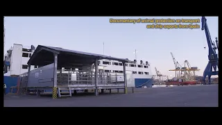 Documentary of animal protection on transport and ship exports from Spain