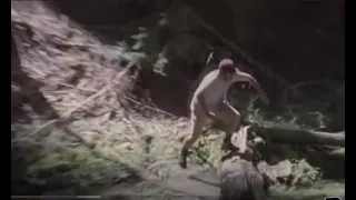 the "Creature In The Giant Sequoias" video