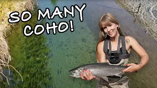 Fly Fishing Coho Salmon With My Dad #salmonfishing #flyfishing #fishing