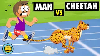 This Is How You Can Outrun A Cheetah