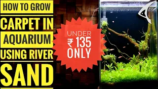 How to grow aquarium carpet plants in river sand under ₹135 only using Dry Method