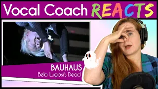 Vocal Coach reacts to Bauhaus - Bela Lugosi's Dead (Peter Murphy Live Coachella 2005)