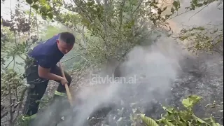 Disa vatra aktive zjarri në Shqipëri