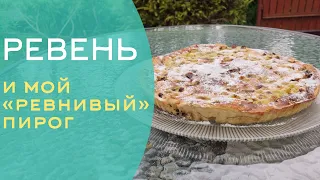 Ревень. Что это за овощ и с чем его едят. Рецепт фирменного пирога.