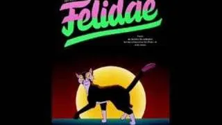 Felidae - Boy George