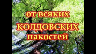 Вычитка от всяких колдовских напастей