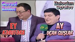 Cavad Recebov vs Baloqlan Esrefov || Ay Ucan Quslar - Ey Kebutera || canli ifa - 2019 -