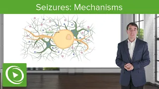 Seizures: Mechanisms | Clinical Neurology