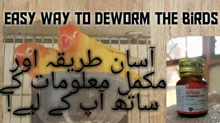 How to deworm birds. All about deworming of birds, Reasons and solution complete info easy way.