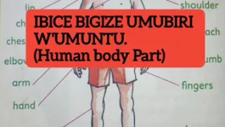 IBICE BIGIZE UMUBIRI W'UMUNTU (English -Kinyarwanda Human Body parts)