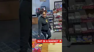 RAT IN A MARKET 😱