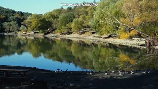 Relaxing Music: Whispers of Serenity: A Journey to the Tranquil Creek of Greenery