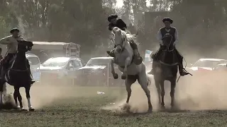 CABALLOS EN BASTOS - 32° FIESTA TRADICIONALISTA FORTÍN DE ORIENTE - 02/10/2022