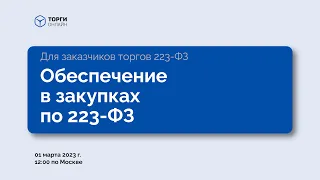 Что такое обеспечение в закупках по 223-ФЗ