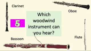 Quiz   Woodwind Instruments