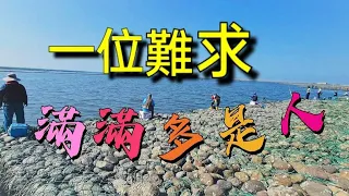 一位難求的釣場，夏天和冬天差那麼多的釣場 Fishing  台湾の釣り 낚시 câucá