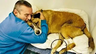 Owners Say Goodbye To Their Dying Dog Compilation|| Funny Everyday Compilation