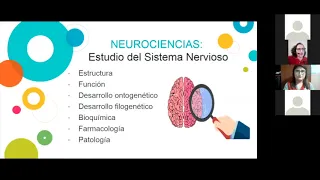 Las neurociencias y las nuevas maneras de enseñar