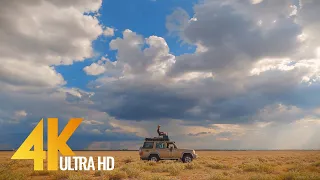 Behind the Scenes of Wildlife Filmmaking in Botswana (4K UHD)