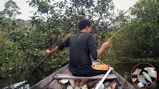 PESCARIA NO AMAZONAS EM IGAPÓ É DE ESTRALAR O CANIÇO! Que nunca tinha visto