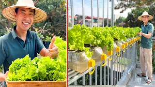 The best idea growing Aquatic Salad vegetables on balcony, without watering