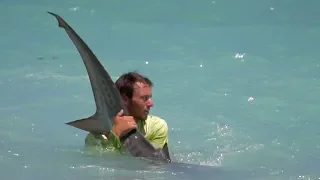 Man Vs. Shark... Battle on the Beach