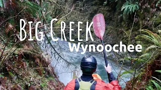 Big Creek Wynoochee | Kayak