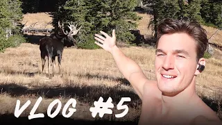 Why I Need to be Alone in UTAH | Tyler Cameron Vlogs