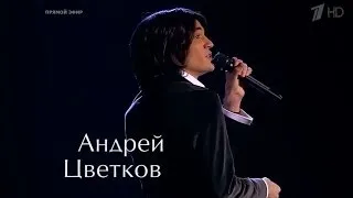 Андрей Цветков   "Звезда"  Голос 2